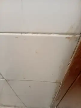 ManBlackhot online show from 04.04.26