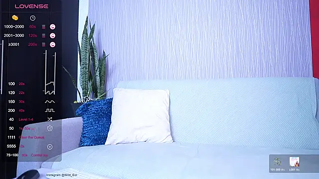 wild col  online show from 04.17.26