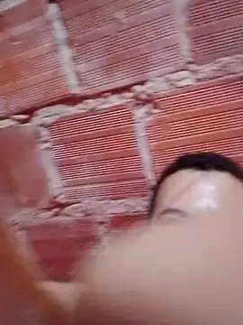 w31 online show from 11.17.25