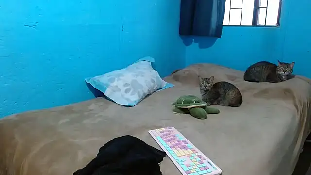 Snapshot of clarisse69 chatting on 03.18.25 clarisse69 online show from 03.18.25