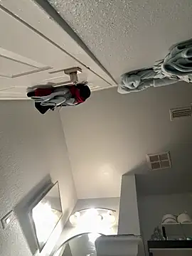 VipSection407 online show from 01.13.26