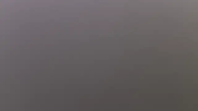 salome polaniiee online show from 10.19.25