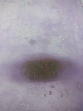 Kannadaboymanu online show from 03.18.25