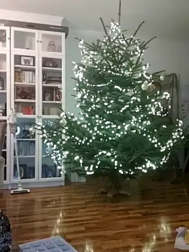 SexyDreamercouple89 online show from 12.07.24