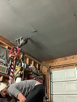 Midwestalpha online show from 03.15.26