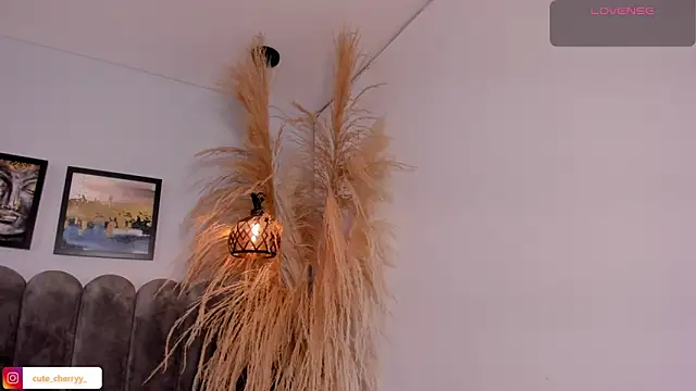 cute  cherry  online show from 04.14.26