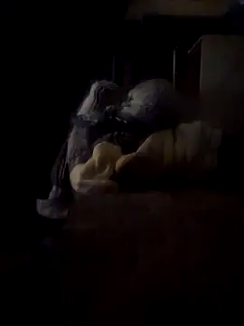 Daza67 online show from 03.04.26