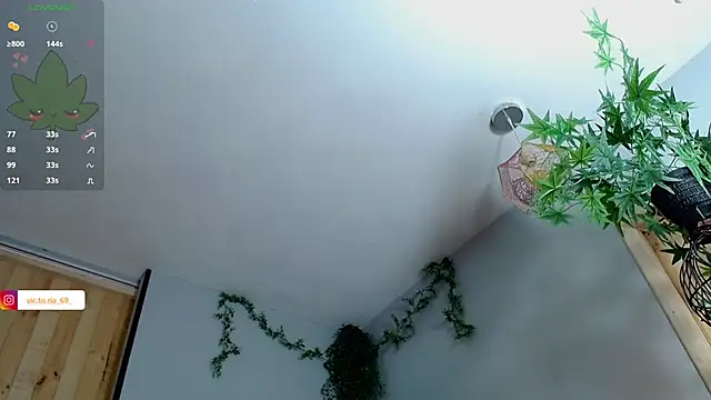 VickyJackson  online show from 01.27.25