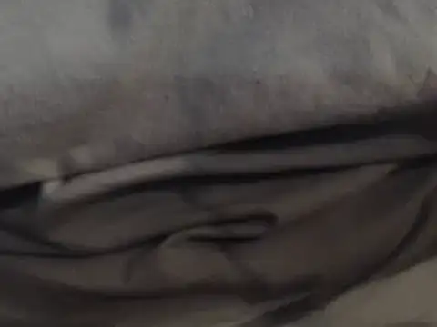 LatinoSized online show from 12.13.24