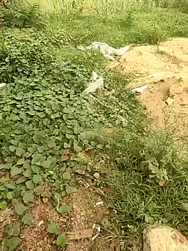 COUPLLE VILLAGE online show from 05.19.26