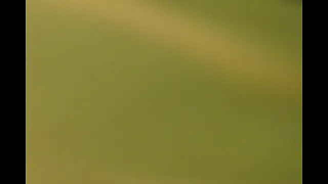 -AyeshaSinghania- online show from 03.26.26