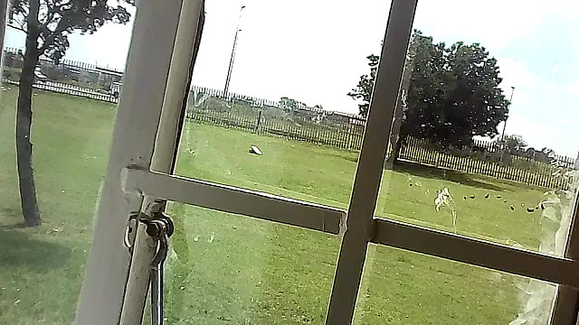 Yardie bone online show from 04.17.26