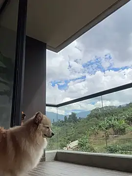 Helenbronwx online show from 01.06.25