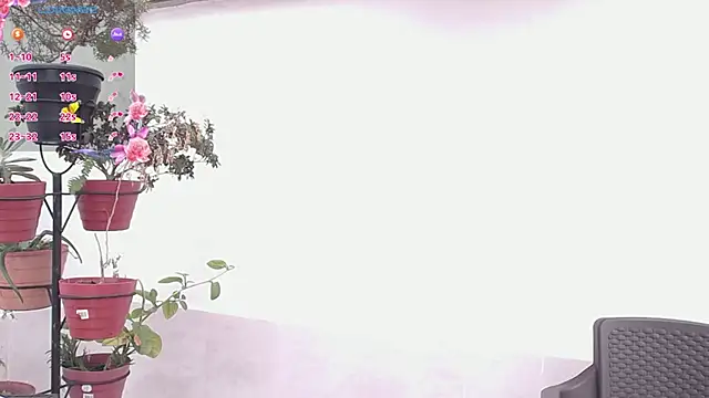 darshajaya online show from 03.17.26