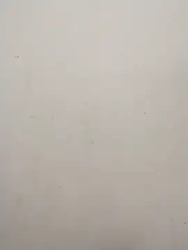 Shuttii 25 online show from 02.10.25