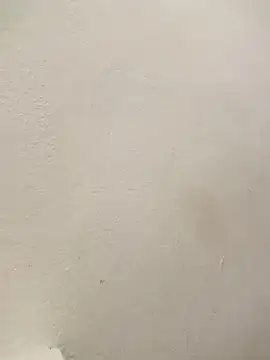 addu24 online show from 01.13.25