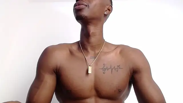 drake brwon 23 online show from 10.01.25