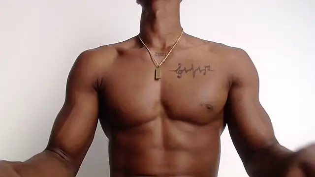 drake brwon 23 online show from 10.02.25