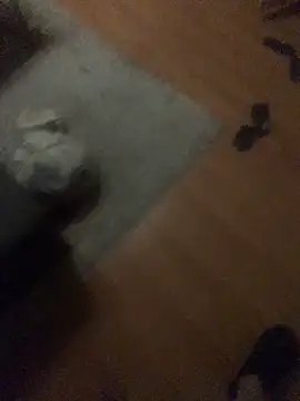 chrille82 online show from 11.21.25