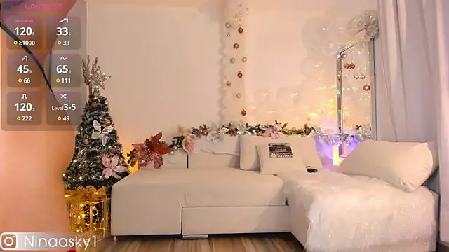 ninaa sky online show from 12.30.24