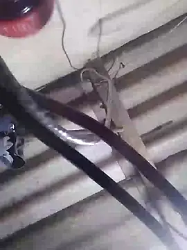 Snapshot of davidatration15 chatting on 03.05.25 davidatration15 online show from 03.05.25