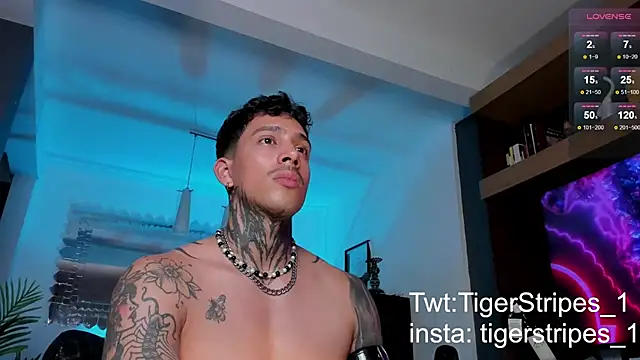 TigerStripes1  online show from 02.12.25