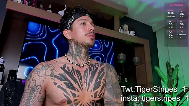 TigerStripes1  online show from 03.09.25