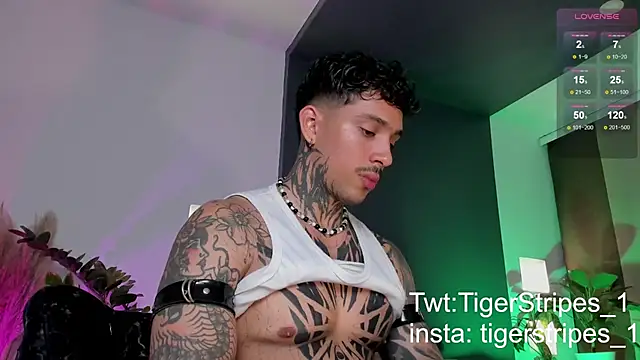 TigerStripes1  online show from 03.22.25