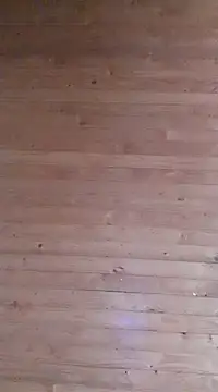 Snapshot of aliosa23 chatting on 01.21.25 aliosa23 online show from 01.21.25