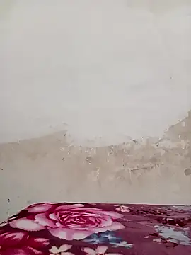 09punjabi online show from 12.19.24