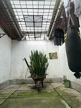 oliver price1 online show from 02.17.26