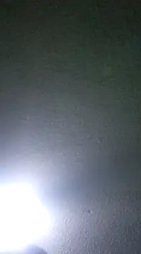 Elcogetuquieres online show from 01.08.25