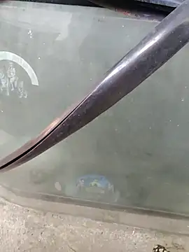 Kolkata   Boy online show from 02.02.25